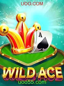 Explorando o Mundo do Jogo WildAce: Uma Nova Aventura Multissensorial